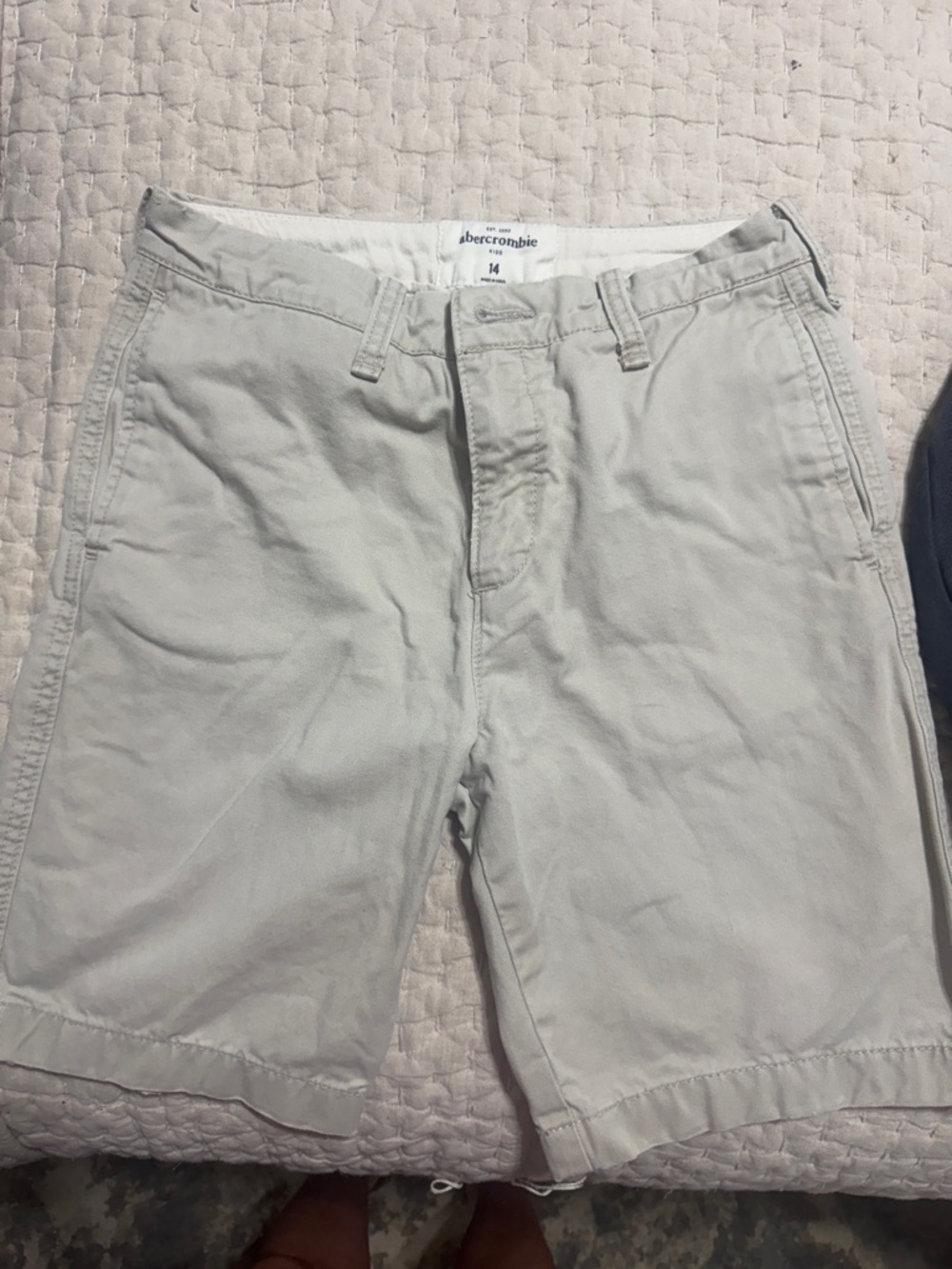 Abercrombie & Fitch Light Gray Men's Flat-Front Shorts